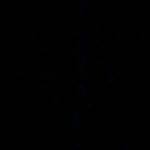 Meet your Posher, Alan